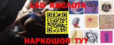 сатива Ставрополь