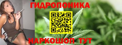 сатива Ставрополь