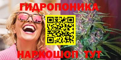 шишки Старая Купавна