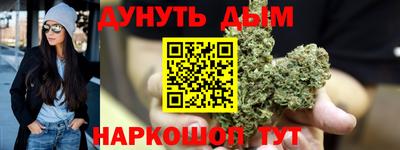 сатива Ставрополь