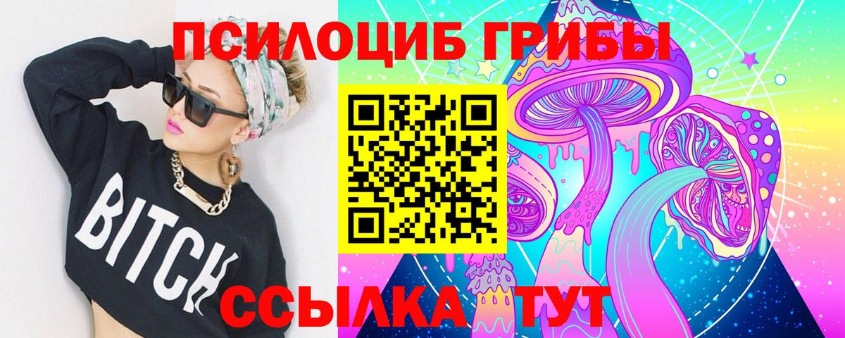 Псилоцибиновые грибы Cubensis Советский